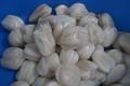 marang